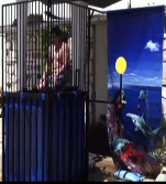 black dunk tank